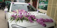 Thuê xe cưới BMW 523Li Ngoại Thành Hà Nội